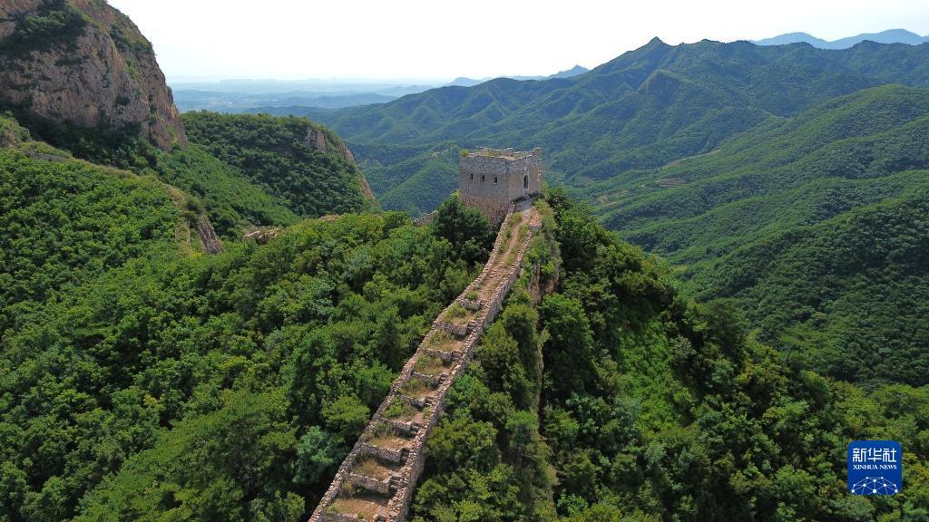 打牌网手机版下载